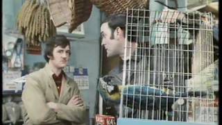 Monty Python The Parrot Sketch amp The Lumberjack Song movie versions HQ [upl. by Eelrihs]