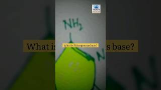 What is Nitrogenous base microbiology nucleotide sugar dna rna shorts viral [upl. by Wolfram]