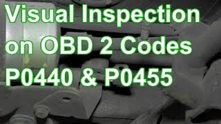 How to Diagnose Codes P0440 or P0455 Using Visual Inspection [upl. by Dira]