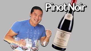 Run to a wine store to buy this right now 10 Pinot Noirs [upl. by Aicittel932]