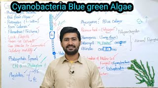 610 Cyanobacteria Blue green Algae and their characteristics Fsc Biology class11 [upl. by Nollad404]