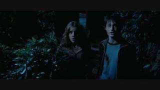 Harry Potter the Prisoner of Azkaban Harry Hermione part 2 [upl. by Botnick]