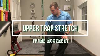 Upper Trap Stretch  Neck Pain  Cervicalgia  Charlotte  NC  Pr1me Movement [upl. by Zrike]