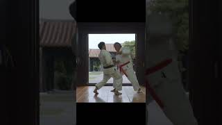 Okinawan Karate Master Kenyu Chinen  沖縄空手 沖縄 空手 okinawa karate martialarts [upl. by Aerbua]