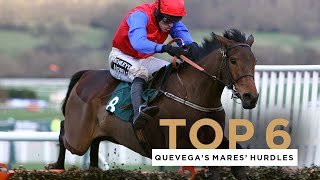 QUEVEGAS SIX MARES HURDLE WINS AT THE CHELTENHAM FESTIVAL [upl. by Isidor786]