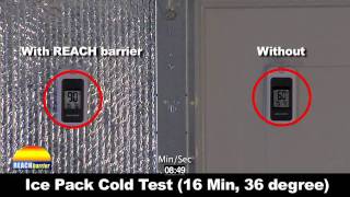 Reach Barrier Garage Door HotCold Test [upl. by Agiaf998]