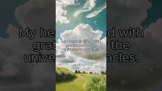 Positive Gratitude Affirmations  I Attract Abundance and Wealth Daily [upl. by Messab]