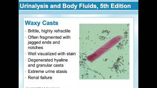 MLT 111 Unit 3 Lecture 3 [upl. by Markowitz]