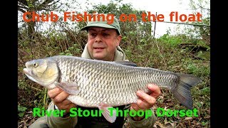 Chub fishing on the River Stour at Throop Dorset [upl. by Marino]