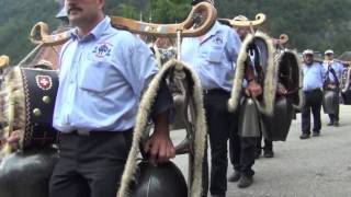 EIDG SCHELLER  TREYCHLERTREFFEN IN MEIRINGEN 2014 [upl. by Morganstein]