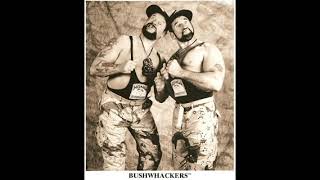 WWE Bushwhackers 2nd Theme [upl. by Aicileb695]