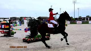 Horse show jumping falls compilation [upl. by Adnalue]