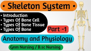 Skeletal System Anatomy and Physiology Nursing  Anatomy and Physiology For Nursing Student [upl. by Acinhoj]