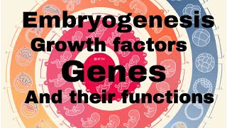 Growth factorsgenes their functions in embryogenesis  MisMedicine [upl. by Carrelli724]