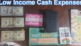 Low Income Cash Stuffing Expenses Coupon SavingsBudgeting Cash Envelopes budgeting cashenvelopes [upl. by Analad]