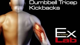 Tricep Kickbacks with Dumbbells  Best Tricep Exercises [upl. by Yojenitsirk]