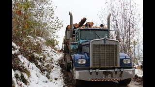 1976 Kenworth W900A [upl. by Nwahc]