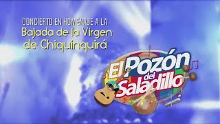 Gaiteros De Pozón  Homenaje A La Bajada De La Virgen En Vivo  Maracaibo  2020 [upl. by Irtimed]