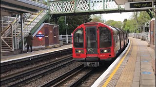 The Loneliness of Roding Valley [upl. by Sonitnatsnoc]