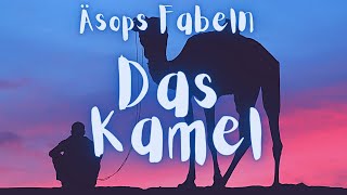 Äsops Fabeln • DAS KAMEL [upl. by Mauri]