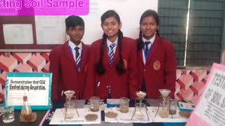 Students aretesting pH of Soil Sample [upl. by Lunnete828]