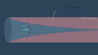 Fluid Boundary layer and velocity profile animation Fluid Mechanics [upl. by Ziguard]