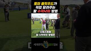 골프 비거리를 위한 수직낙하 쉽게 하는 방법 feat토미 플릿우드 [upl. by Ashok]