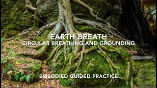 Circular Breathing and Grounding Earth Breath  Embodied Guided Practice [upl. by Dowd556]