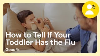 How to Tell If Your Toddler Has the Flu  GoodRx [upl. by Htebi]