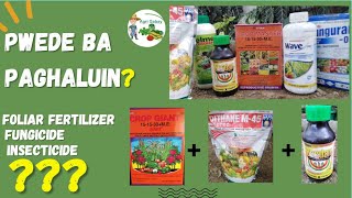 Pwede bang paghaluin ang Foliar Fertilizer Insecticide at FungicideCompatibility [upl. by Naehgem]