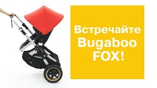 Bugaboo Fox НОВИНКА [upl. by Andrade]