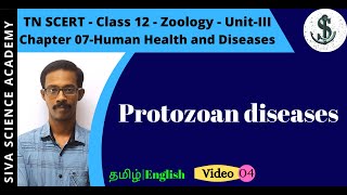 04 Protozoan diseases  Chapter 07  Human Health and Diseases  CLASS 12 Zoology  TN SCERT [upl. by Deery]