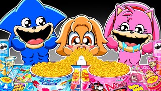 Convenience Store BLUE PINK Food mukbang with SHIN SONIC TAPES Family  SHIN SONIC TAPES Animation [upl. by Dulcea]