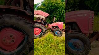 295 Di Mahindra tractor cultivator shorts [upl. by Annai363]