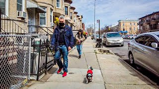 19th AVENUE BENSONHURST  Walking in Brooklyn NYC  Walking Video and Street Ambience ASMR [upl. by Uahc212]