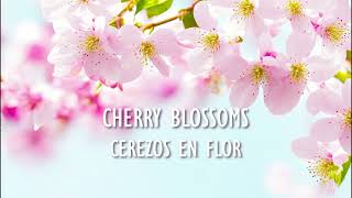 quotCherry Blossomsquot by José Elizondo  Joe Zeitlin cello Edward Cohen piano [upl. by Rani]