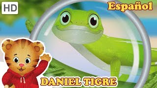 Daniel Tigre en Español  Encontrando un Lagarto 🦎  Videos para Niños [upl. by Lael]