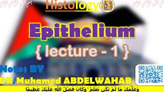 Epithelium  1  Histology  القصر العيني 198 [upl. by Yddor843]