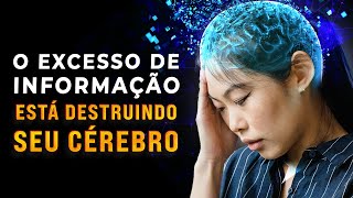 Excesso de Informação x Cérebro  Como Lidar [upl. by Miyasawa]