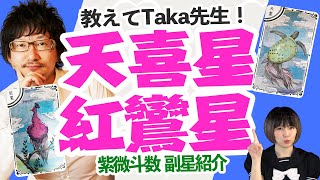 【教えてTaka先生！】紫微斗数 副星紹介 最終回？ 天喜星 ・ 紅鸞星 （てんきせい・こうらんせい）編 紫微斗数 [upl. by Neerbas]