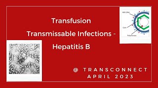 Hepatitis B All we need to know Episode 27 [upl. by Audre682]