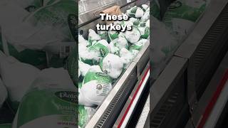 Costcos turkeys are finally here [upl. by Novat]