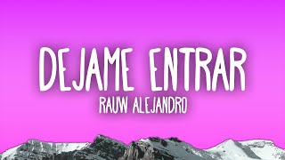 Rauw Alejandro  Dejame Entrar [upl. by Hoehne]