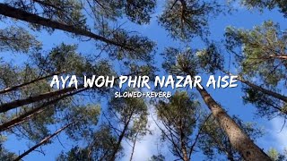 Aya Woh Phir Nazar AiseSlowedReverbsong [upl. by Hamburger693]