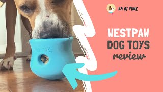 West Paw Dog Toys Review Worth the Hype [upl. by Aneahs]