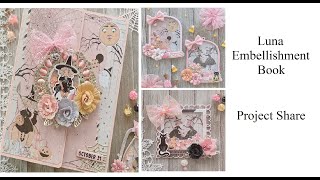 Halloween Embellishment Book Walk Through  Frank Garcia Luna Collection Project Share [upl. by Anum645]