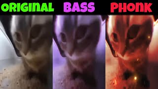 Chipi Chipi Chapa Chapa Original vs Phonk vs Bass part 1 [upl. by Etnahs490]