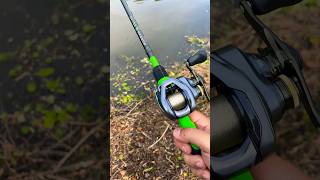 Shimano curado dc casting sound [upl. by Richma]