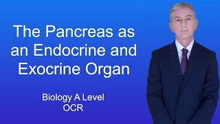 A Level Biology Revision Year 13 quotThe Pancreas as an Endocrine and Exocrine Organquot [upl. by Brookes]