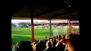 AFC Wimbledon AFC Wimbledon fans  show me the way to plough lane [upl. by Sulecram627]